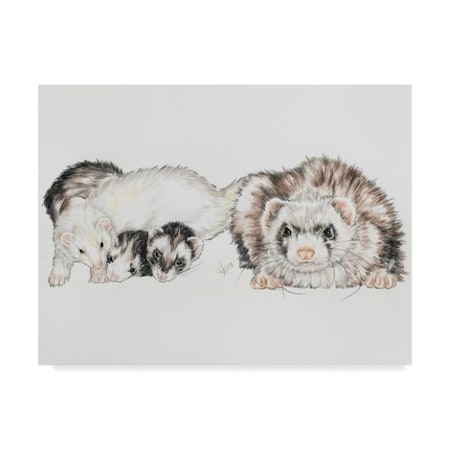 Barbara Keith 'Family Of Ferrets' Canvas Art,14x19